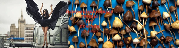 марки lsd Надым