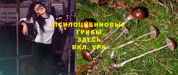 спиды Абдулино