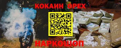 шишки Дубна