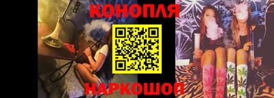 шишки Дубна