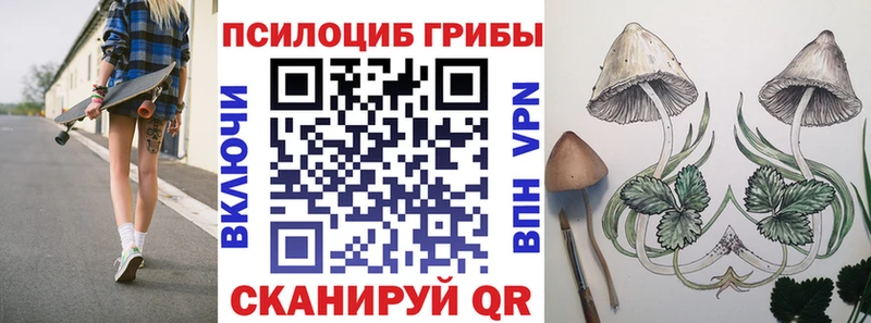 купить наркотик  Торжок  ссылка на мегу рабочий сайт  Псилоцибиновые грибы мухоморы 